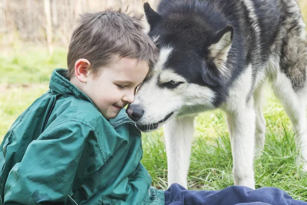 Pojken Leker Med Sin Hund Glada Barn Leker Med Den — Stockfoto