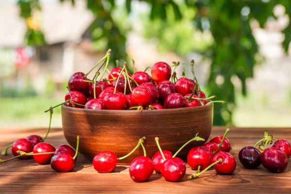 Kiraz ağacının arka planındaki ahşap masada seramik kasede olgun kirazlar. Bahçede tatlı kirazlar