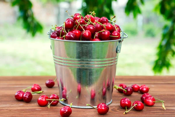 Tahta arka plandaki kovada taze kırmızı kiraz. Tahta arka planda metal kovada olgun kırmızı kirazlar..