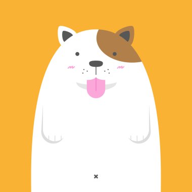 büyük şişman Jack Russell köpek