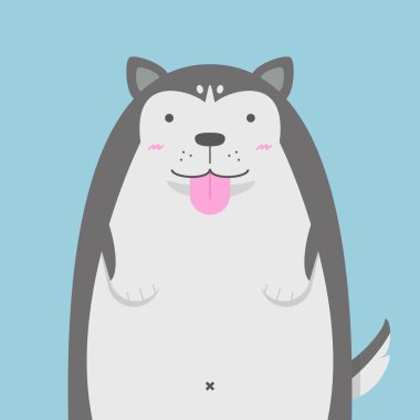 büyük şişman Sibirya Husky köpek