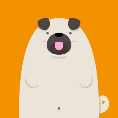 büyük şişman Pug köpek