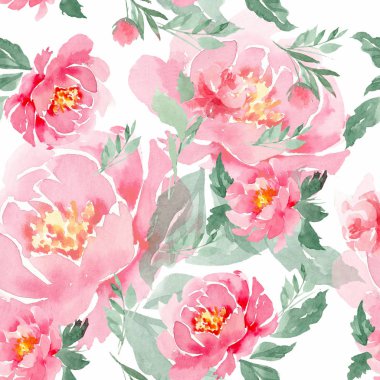 Beyaz arka planda kusursuz suluboya pembe şakayıklar. Arka planda, kumaşta ve kağıtta parmak izleri için kullanılabilir..