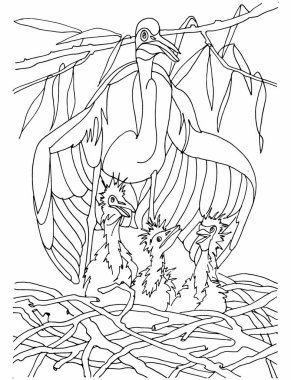 Çocuklar için boyama kitabı. Yuvasında yavruları olan vahşi kuşlar.