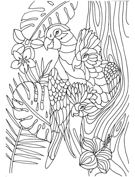 Three stylized pink parrots peeking out of a hollow coloring page