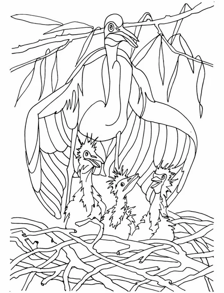 Coloring book for children animals in the wild bird with chicks in the nest