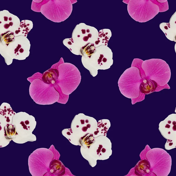 背景や様々なデザインのためのPhalenopsis蘭シームレスパターン — ストック写真