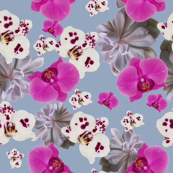Phalaenopsis Orkidé Sömlöst Mönster För Tryck Tyger Papper Bakgrunder Och — Stockfoto