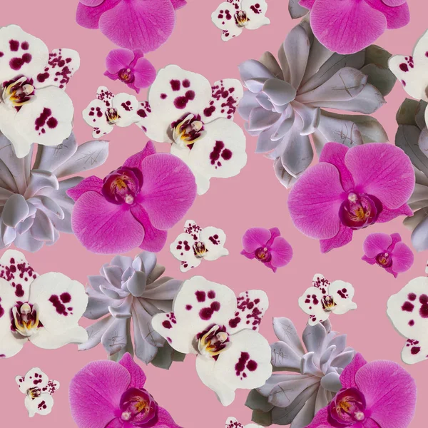 Padrão Sem Emenda Orquídea Phalaenopsis Para Impressões Tecidos Papel Fundos — Fotografia de Stock