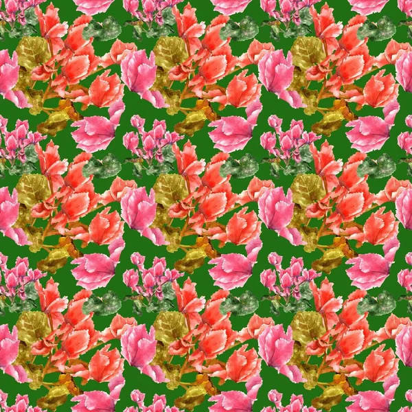 Квітка Цикламен Перський Рожевий Акварельний Ескіз Безшовний Візерунок Використання Друку — стокове фото