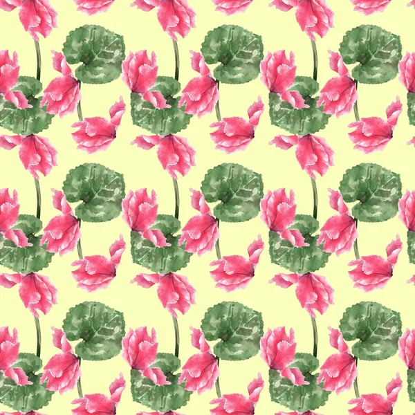 Cyclamen Persian Pink Watercolor Scanting Seamless Pattern 인쇄하는 — 스톡 사진