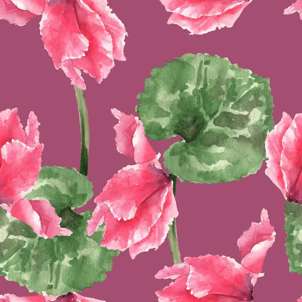 Bloem Cyclamen Perzisch Roze Aquarel Schets Naadloos Patroon Gebruik Voor — Stockfoto