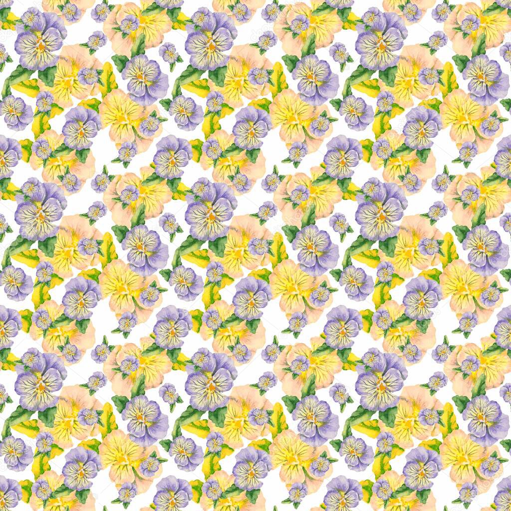 Seamless pattern of watercolor flowers of the viola variety on a white backgroun