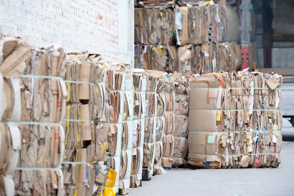 El papel de desecho se recoge y envasa para reciclar — Foto de Stock