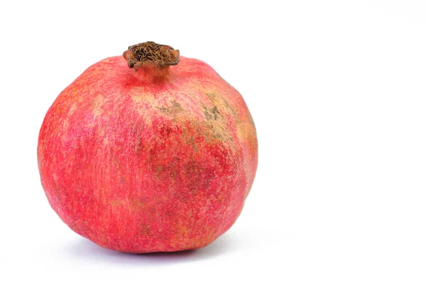 One Raw Pomegranate Fruit on White Background — Stock Photo, Image