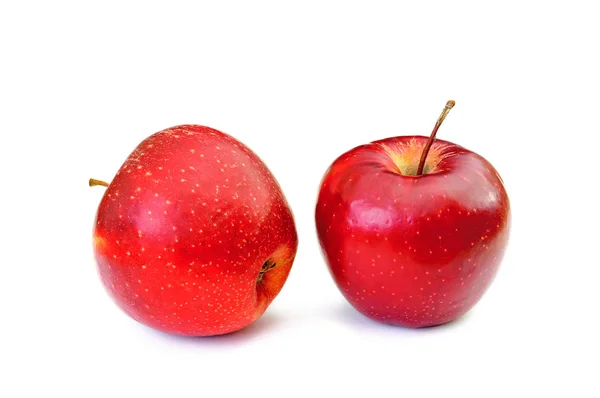 Two red apples isolated on white background — Stock Photo, Image