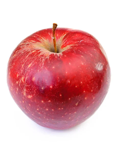 一整个红苹果 — 图库照片