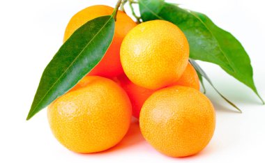 Mandarin beyaz arka plan üzerinde izole bir yaprak ile