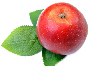 yaprak izole Kırmızı elma