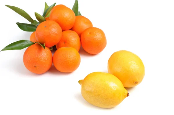 Två citroner och apelsiner på vit bakgrund — Stockfoto