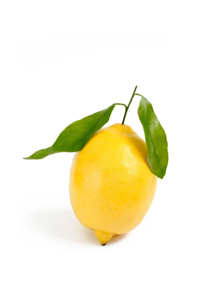 白の背景上のレモン — ストック写真