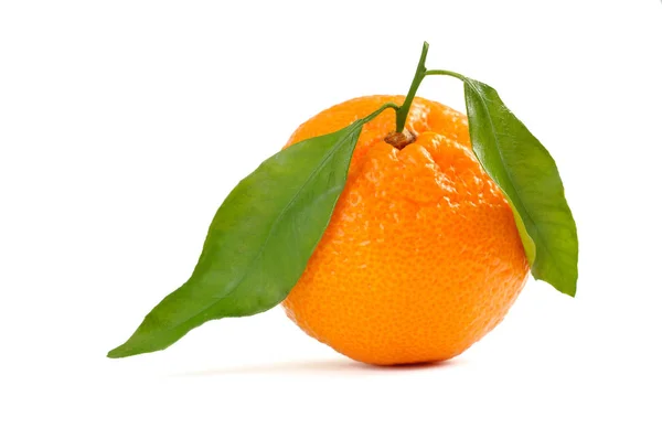 Mandarin with leaf on white — Stock Photo, Image