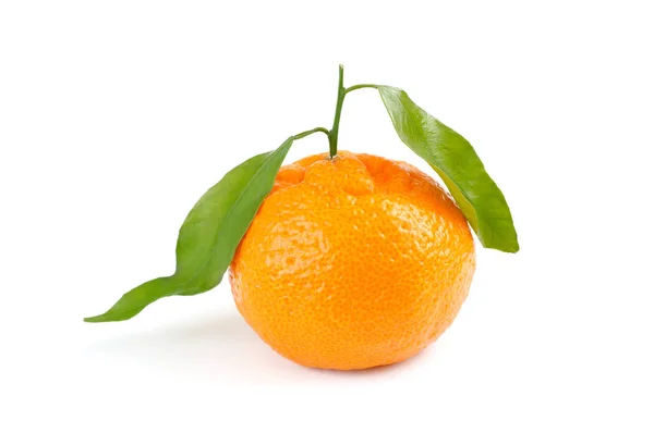 Mandarin fruit on white background — Stock Photo, Image