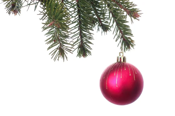 Red Christmas balls on the green fir branch. White background. — Stock Photo, Image