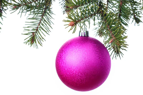 Violet balls on the Christmas tree — Stock Photo, Image