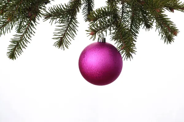흰색 배경에 고립 된 자주색 볼과 크리스마스 트리 — 스톡 사진