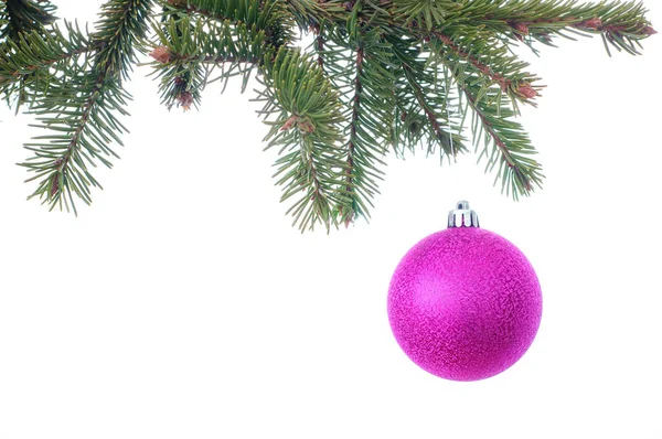 Bola de Navidad y rama de árbol de Navidad verde — Foto de Stock