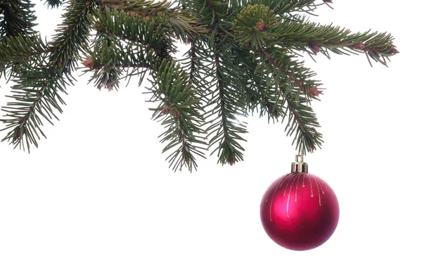 Bola roja de Navidad en la rama verde aislado — Foto de Stock