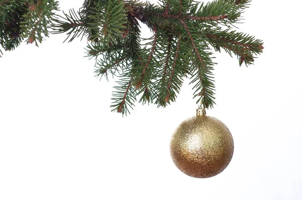 Gold Christmas balls on the green fir branch. White background. Stock Picture