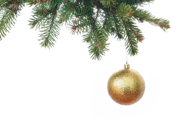 Gold glitter Christmas baubles hanging from the branch of a fir Stock Picture