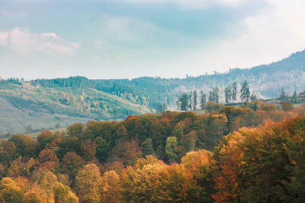 Dev dağlarla manzara vahşi orman ile akşam altında ve 