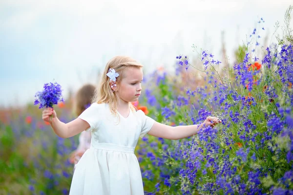 어린 소녀는 f에서 블루 야생 꽃을 따기 흰색 드레스를 입고 — 스톡 사진