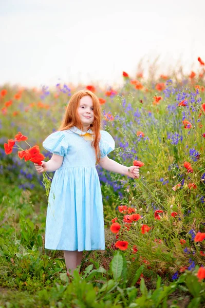 赤毛の少女の春のポピーでフィールド野生花を収集します。 — ストック写真