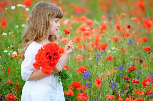 Słodkie dziecko dziewczynka z dzikich kwiatów w polu lato — Zdjęcie stockowe