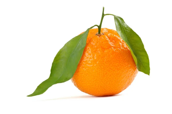 Orange fruit with leafs — Stock Photo, Image