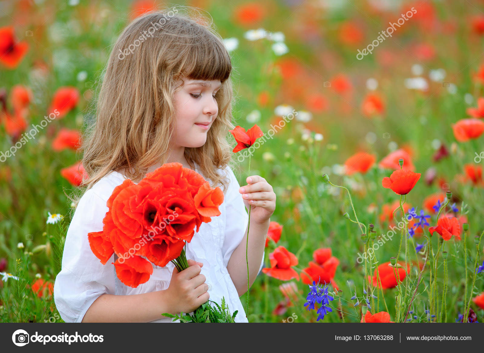 Cute kid girl with wild flowers at the summer field — Stock Photo