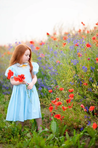 Złote dziecko dziewczyna zbiera bukiet dzikich kwiatów dla matki — Zdjęcie stockowe