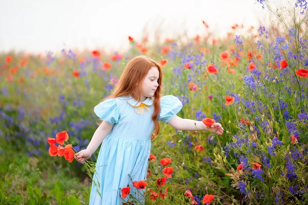 Redhead dziewczyna dziecko gromadzi bukiet dzikie kwiaty dla mamy — Zdjęcie stockowe