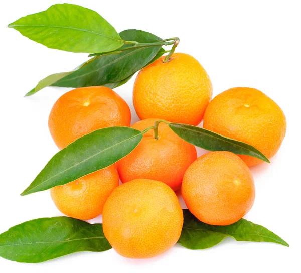 Pomarańczowe owoce z liść na białym tle — Zdjęcie stockowe