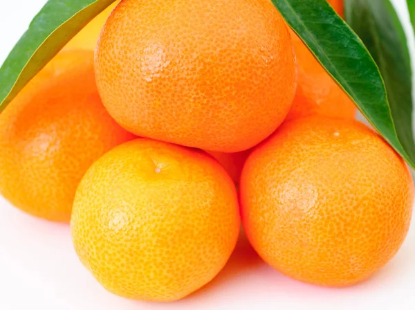 Closeup view on group orange fruits. Isolated on white backgroun — Stock Photo, Image