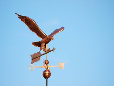 Copper Eagle weathervane on a Sunny Day clipart