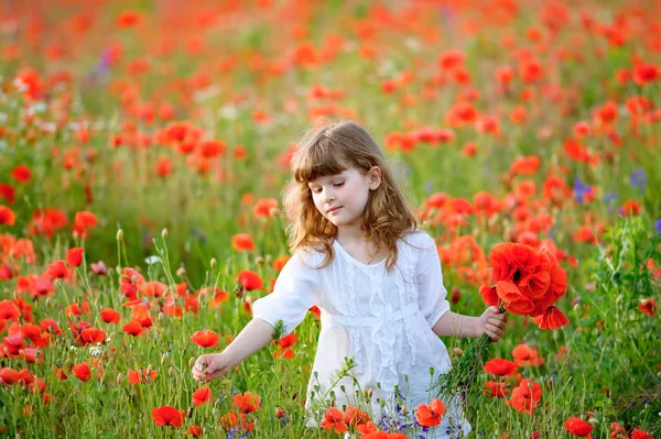 Mała dziewczynka zbiera bukiet kwiatów czerwony dziki — Zdjęcie stockowe