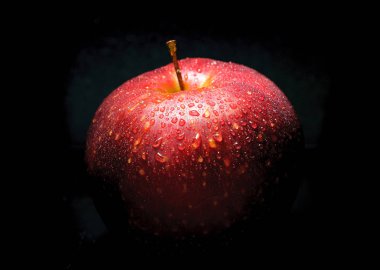 Siyah zemin portre üzerinde damla Kırmızı elma