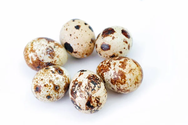 Quail eggs isolated on white backdrop — Stock Photo, Image