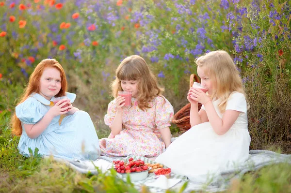 Niñas comen comida vegetariana en el picnic en el campo de verano — Foto de Stock