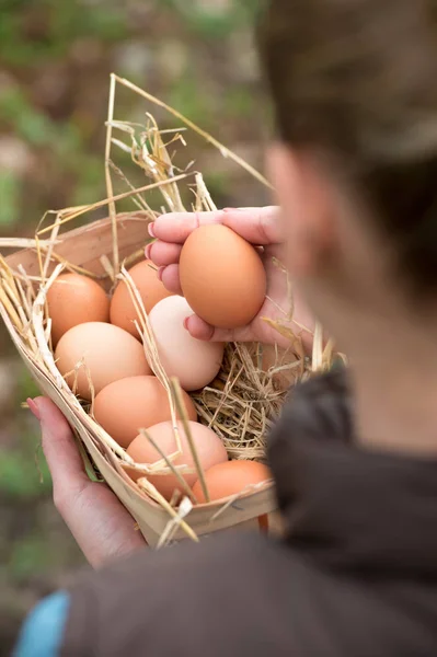 緑の草の新鮮な卵と籐のバスケットを持つ女性の手 — ストック写真
